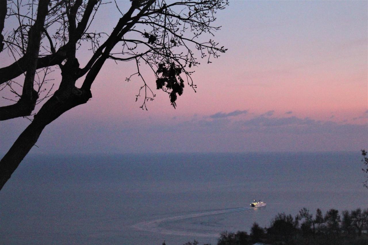 Villa Treglia B&B ฟอร์เมีย ภายนอก รูปภาพ